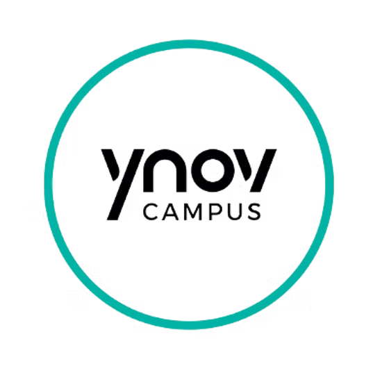 Ynov