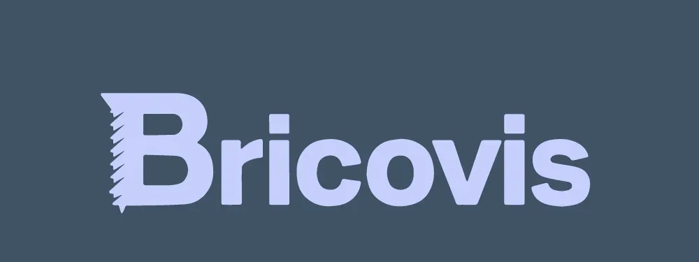 Page d'accueil du site e-commerce Bricovis après sa refonte